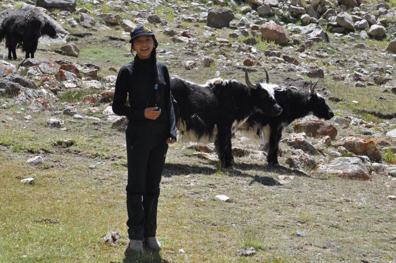 Rock Castle Residency Hotel Leh Kültér fotó