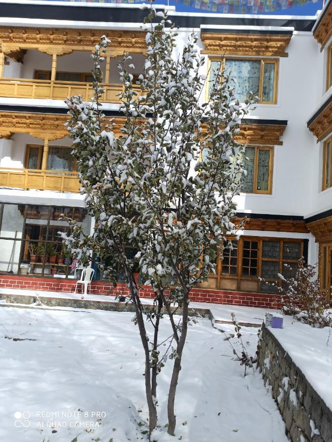 Rock Castle Residency Hotel Leh Kültér fotó